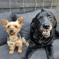 Fircha and Mila