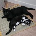 Gwen and Meena